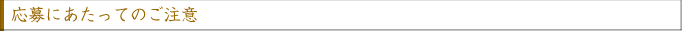 応募にあたってのご注意